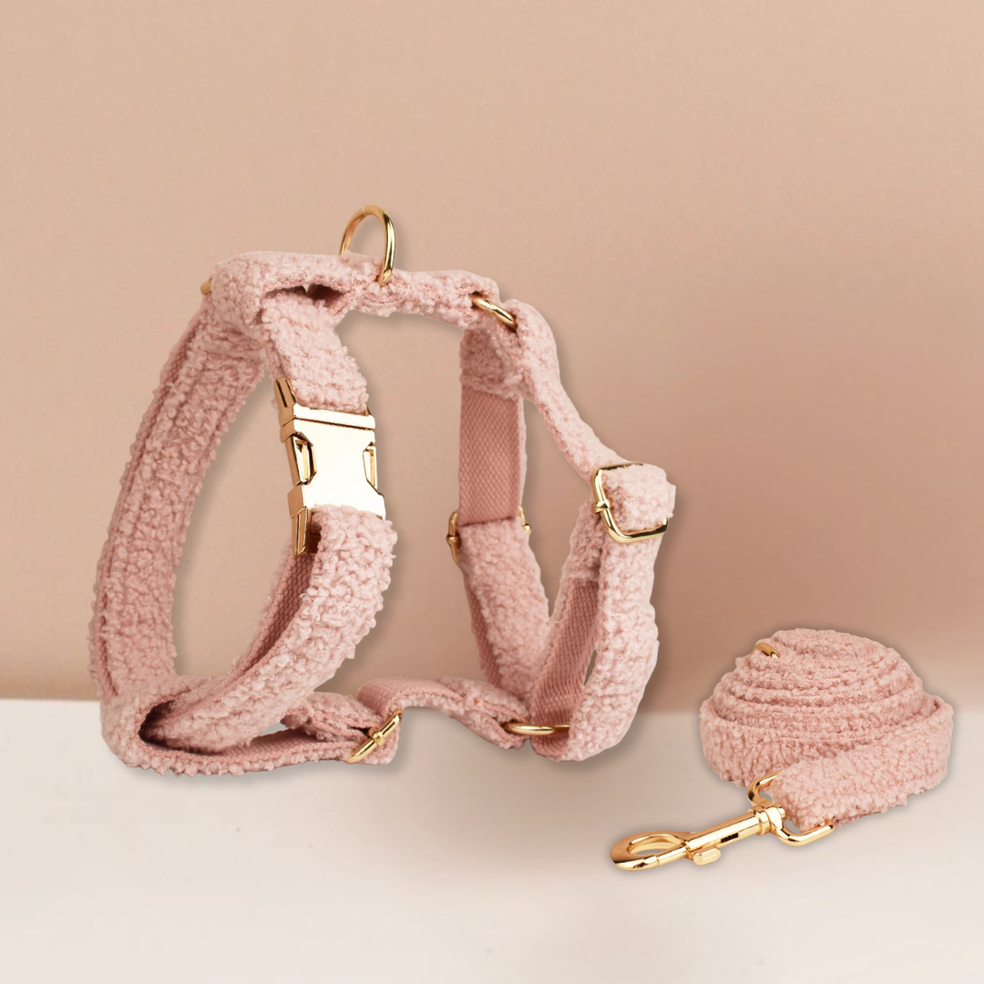 Teddy Ready - Set met Tuigje en Riem - Roze